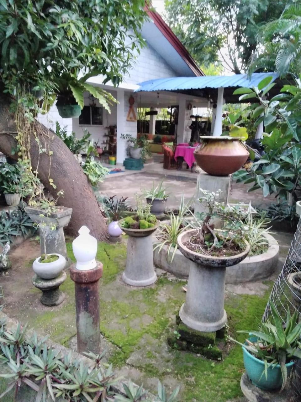 Rock Cascade Tourist Home & Cookery School Polonnaruwa Dış mekan fotoğraf