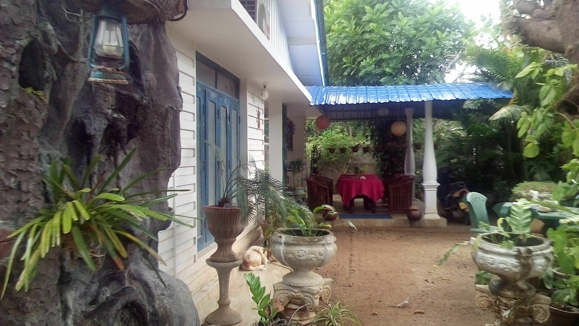 Rock Cascade Tourist Home & Cookery School Polonnaruwa Dış mekan fotoğraf